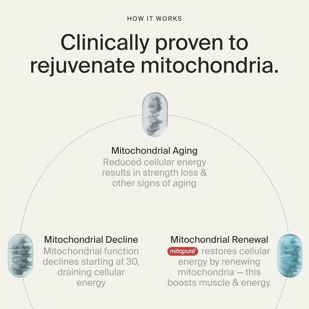 Mitopure Urolithin a Supplement Softgels - Clinically Proven Support for Healthy Aging and Cellular Renewal - Mitoceutical for Muscle Support and Longevity