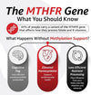 10X Health Methylated Multivitamin - 90 Capsules