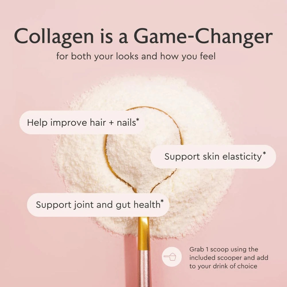 Alaya Multi Collagen Powder - Type I, II, III, V, X Hydrolyzed Collagen Peptides Protein Powder Supplement with MSM + GC (Unflavored) - NSF Certified - (40 Servings)