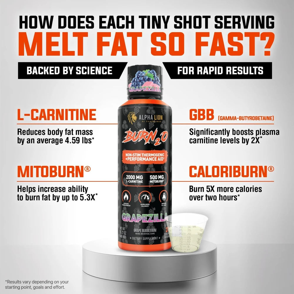 ALPHA LION Burn2O L-Carnitine Liquid 2000mg – Stim Free Super Thermogenic Fat Burner with MitoBurn® &amp; CaloriBurn GP® - Grapezilla