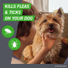 FRONTLINE Plus Flea &amp; Tick Spot Treatment for Large Breed Dogs 45-88 lbs. (Purple)