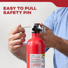 Kidde Basic 110 Fire Extinguisher for Home, 1-A:10-B:C, FA110G, 2 Pack