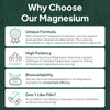 Organics Ocean Pure Magnesium Glycinate Supplement with Zinc, 1 Bottle