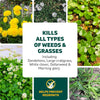 Spruce Weed &amp; Grass Killer₃ Kit, Power Wand, 2 AA Batteries Included, 64 Oz