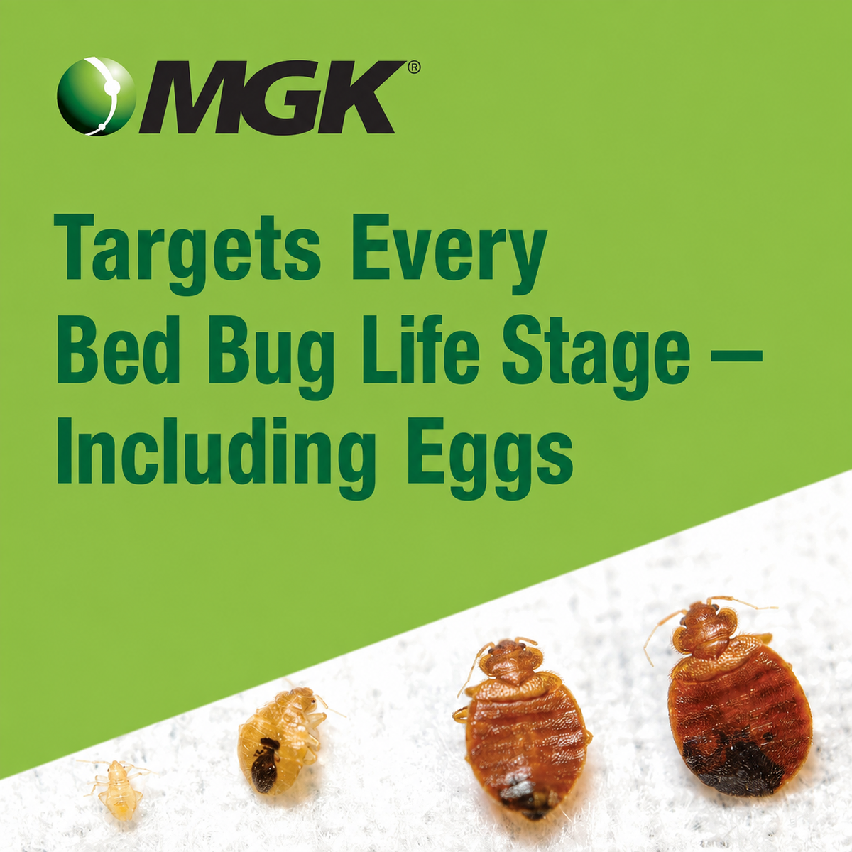 MGK Crossfire Bed Bug Concentrate
